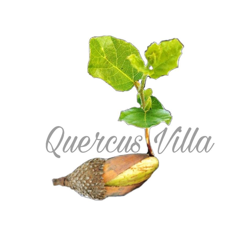 Quercus Villa Sesimbra Luaran gambar